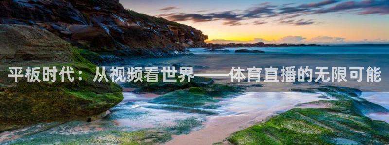 nba无插件直播看球吧：平板时代：从视频看世界——体育直播的无限可能