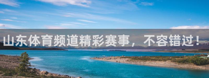 看球吧直播入口：山东体育频道精彩赛事，不容错过！