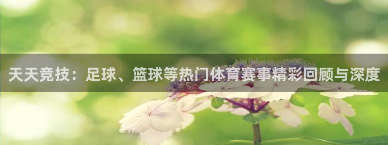 360免费直播超清 看球吧：天天竞技：足球、篮球等热门体育赛事精彩回顾与深度