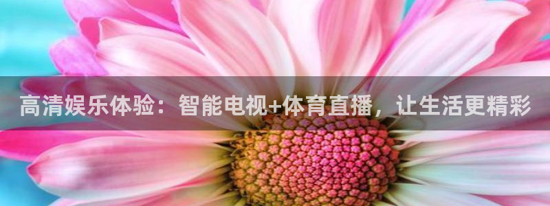 鲨鱼直播nba在线看球吧：高清娱乐体验：智能电视+体育直播，让生活更精彩
