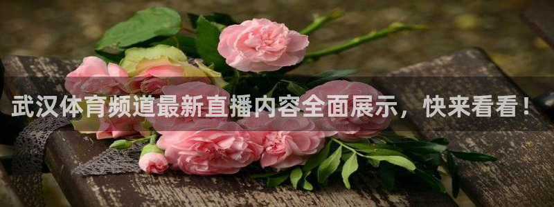 看球吧nba免费直播：武汉体育频道最新直播内容全面展示，快来看看！