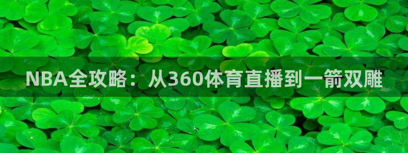 nba直播 看球吧：NBA全攻略：从360体育直播到一箭双雕