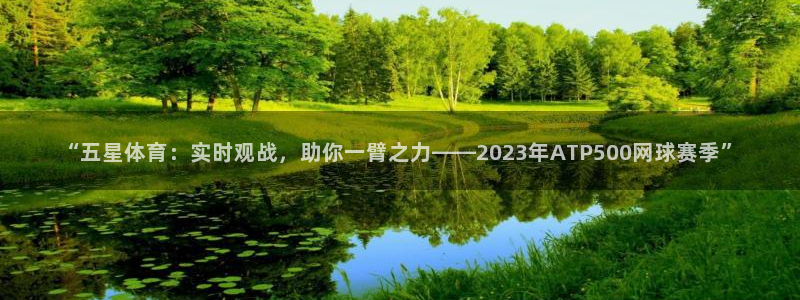 88直播看球吧：“五星体育：实时观战，助你一臂之力——2023年ATP500网球赛季”