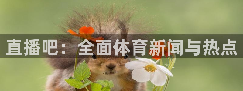 24直播吧 看球吧：直播吧：全面体育新闻与热点